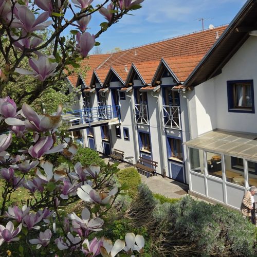 dom-zlatno-doba-suncan-dan-2026-007