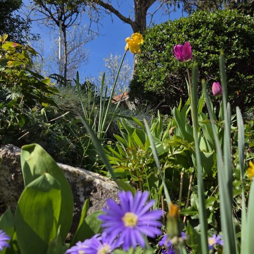 dom-zlatno-doba-suncan-dan-2026-013