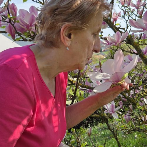 dom-zlatno-doba-suncan-dan-2026-015