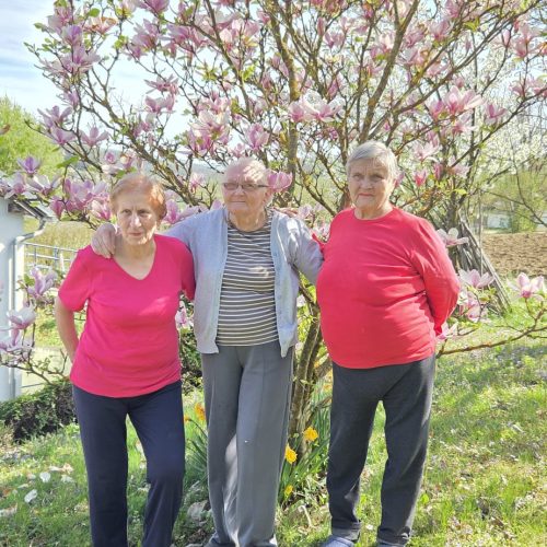 dom-zlatno-doba-suncan-dan-2026-017