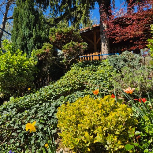 dom-zlatno-doba-suncan-dan-2026-018