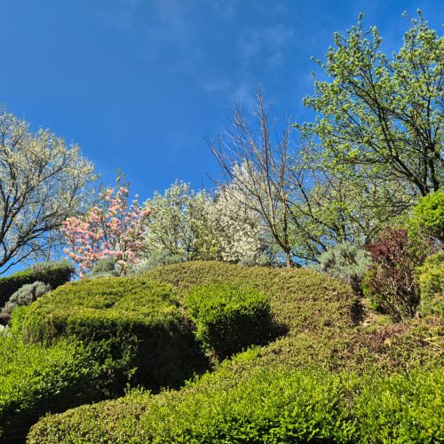 dom-zlatno-doba-suncan-dan-2026-019