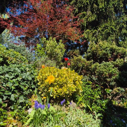 dom-zlatno-doba-suncan-dan-2026-020