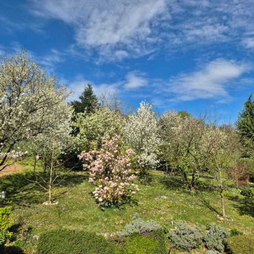 dom-zlatno-doba-suncan-dan-2026-023