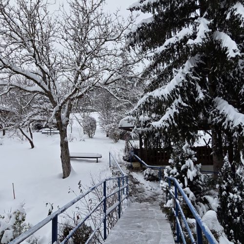 dom-zlatno-doba-zimska-idila-2026-006