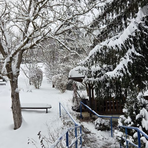 dom-zlatno-doba-zimska-idila-2026-008