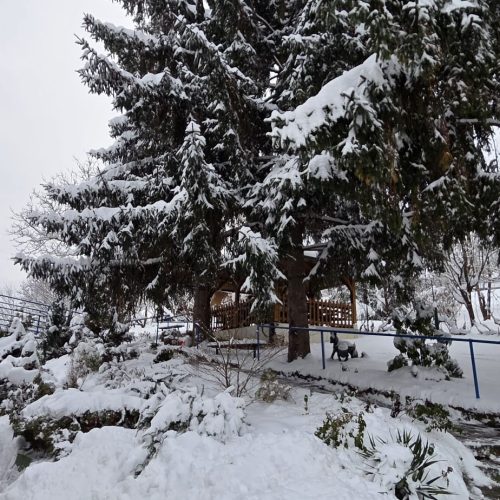 dom-zlatno-doba-zimska-idila-2026-010